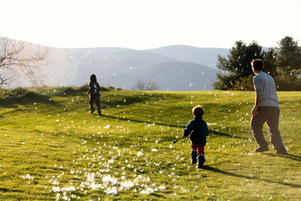 Milkweed: playing with my sons on the front lawn in Roxbury, Vermont, November 5th, 2013.