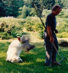 Commit...and Let Go! The Dog, The Rooster, and My Father